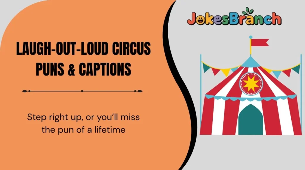 Laugh-Out-Loud Circus Puns & Captions