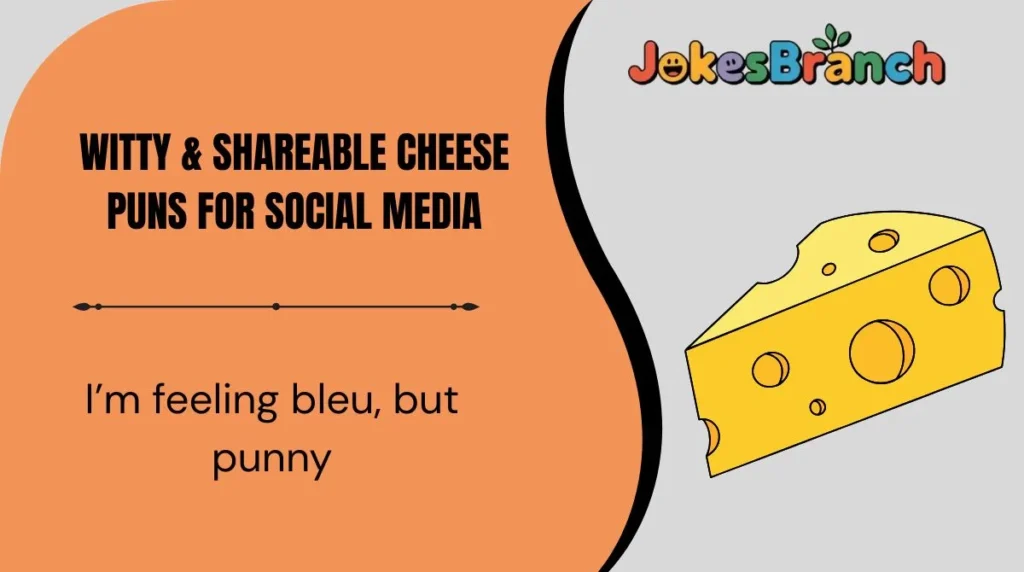 Witty & Shareable Cheese Puns for Social Media