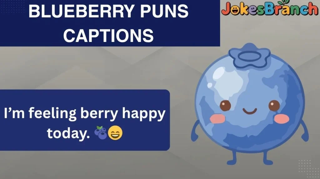 Blueberry Puns Captions