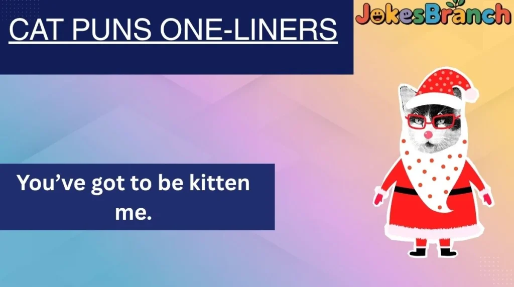 Cat Puns One-Liners