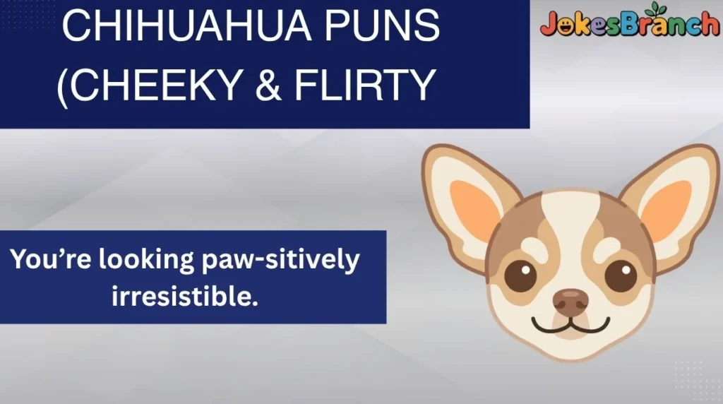 Chihuahua Puns (Cheeky & Flirty