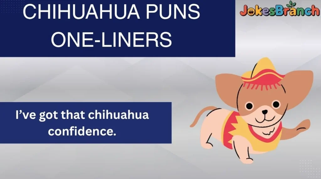 Chihuahua Puns One-Liners