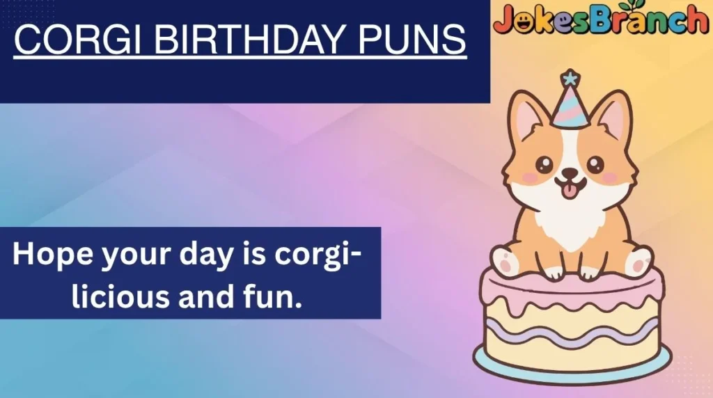 Corgi Birthday Puns