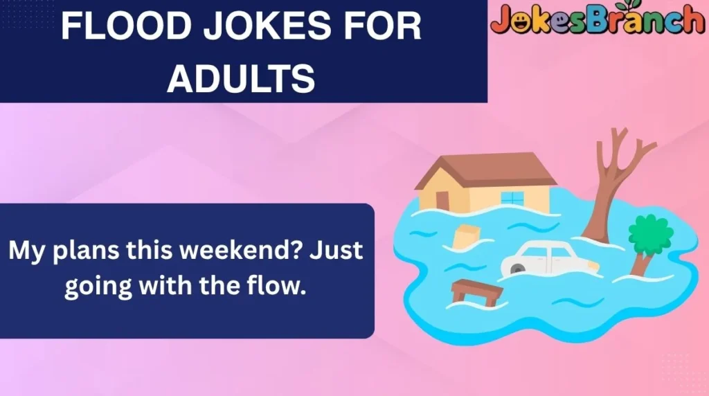 Flood Jokes for Adults