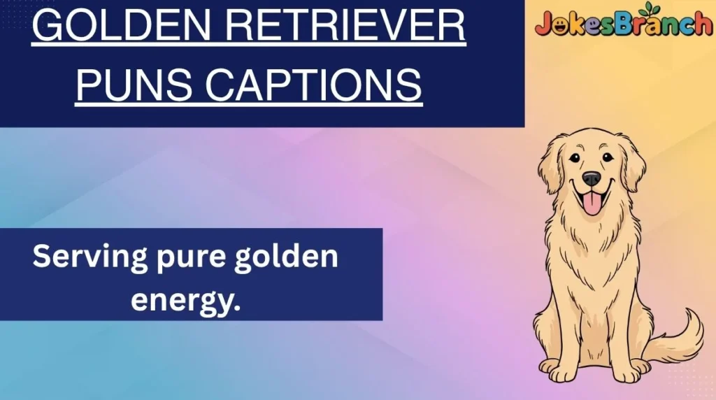 Golden Retriever Puns Captions