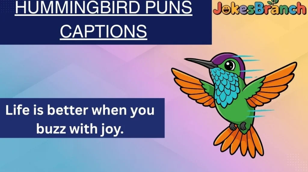 Hummingbird Puns Captions