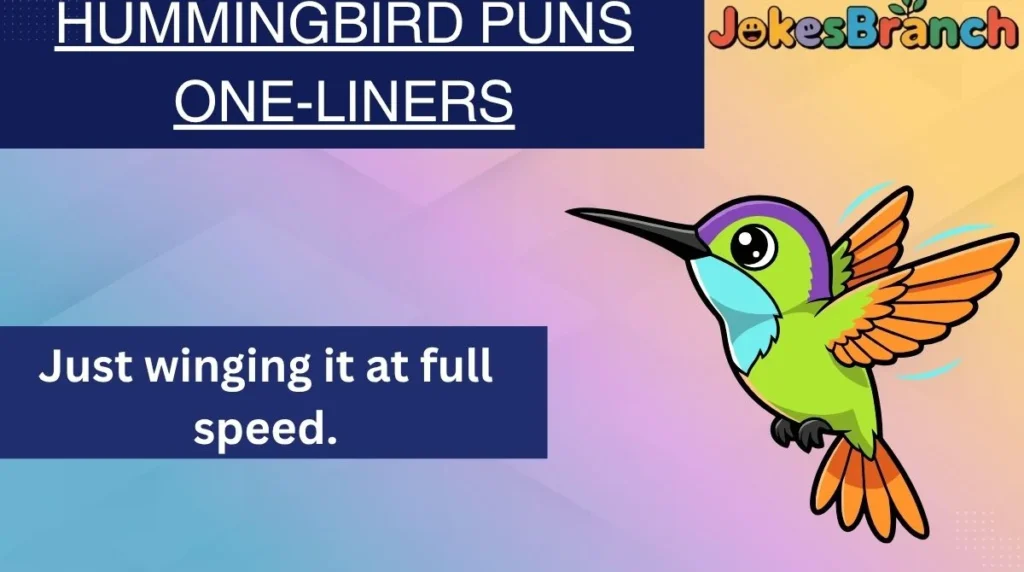 Hummingbird Puns One-Liners