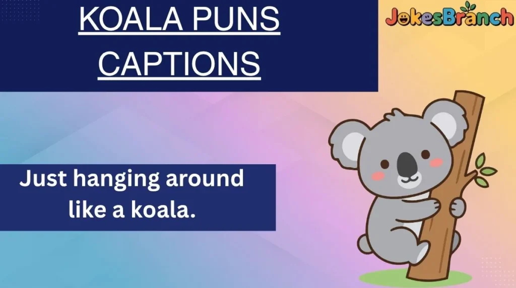 Koala Puns Captions