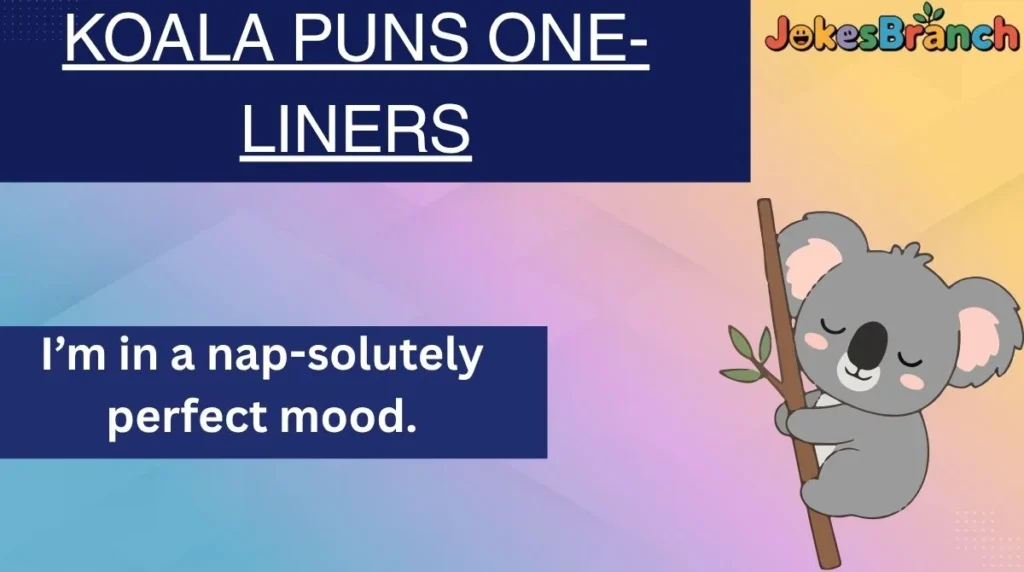 Koala Puns One-Liners