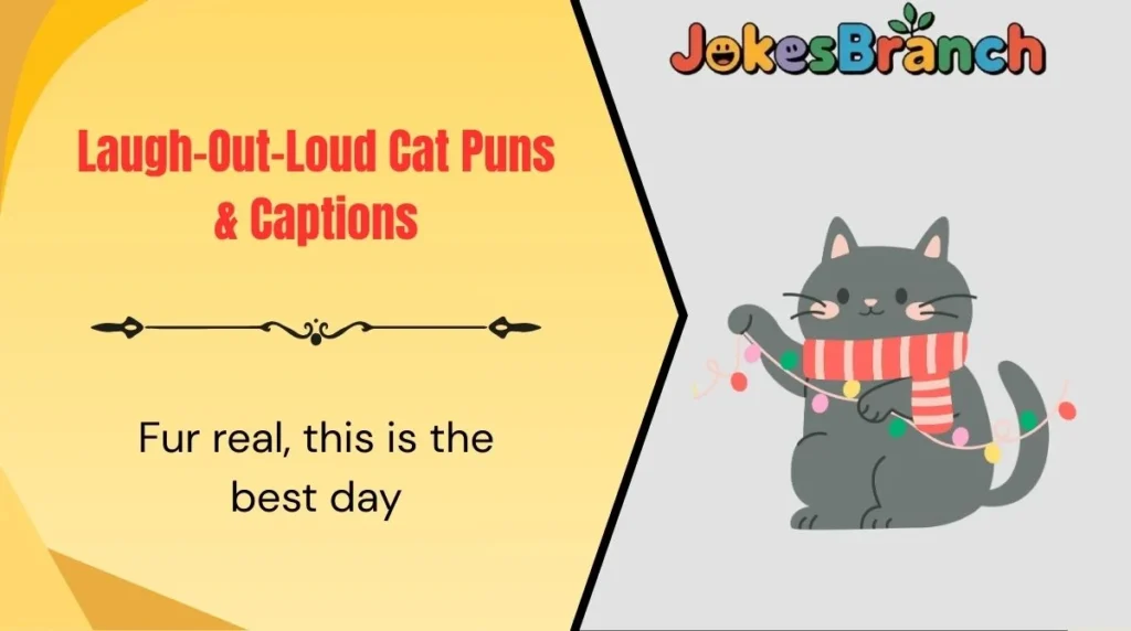 Laugh-Out-Loud Cat Puns & Captions
