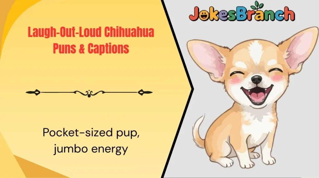 Laugh-Out-Loud Chihuahua Puns & Captions