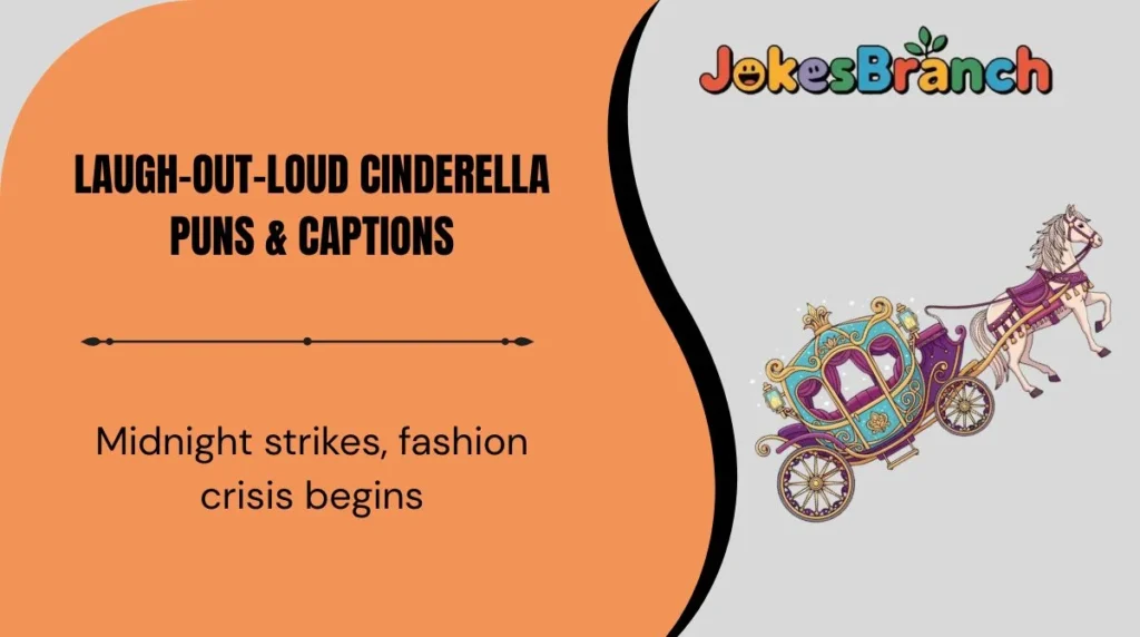 Laugh-Out-Loud Cinderella Puns & Captions