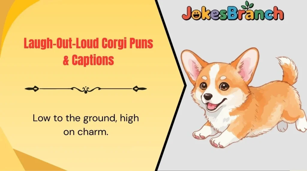 Laugh-Out-Loud Corgi Puns & Captions