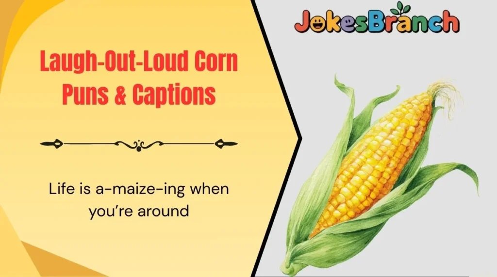 Laugh-Out-Loud Corn Puns & Captions