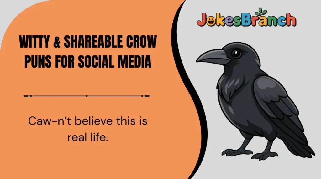 Witty & Shareable Crow Puns for Social Media