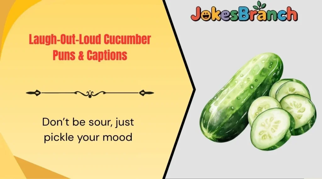 Laugh-Out-Loud Cucumber Puns & Captions