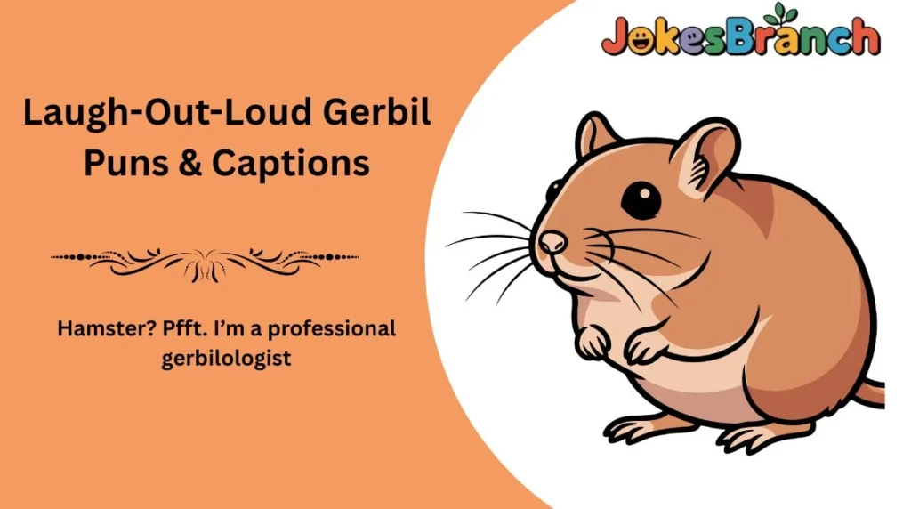 Laugh-Out-Loud Gerbil Puns & Captions