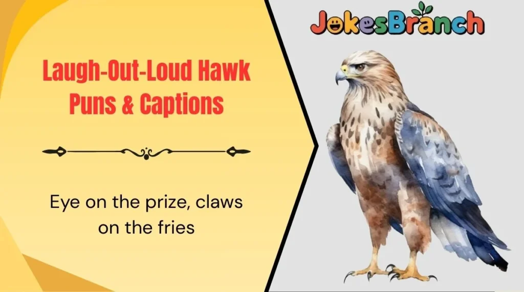 Laugh-Out-Loud Hawk Puns & Captions