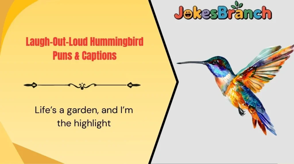 Laugh-Out-Loud Hummingbird Puns & Captions