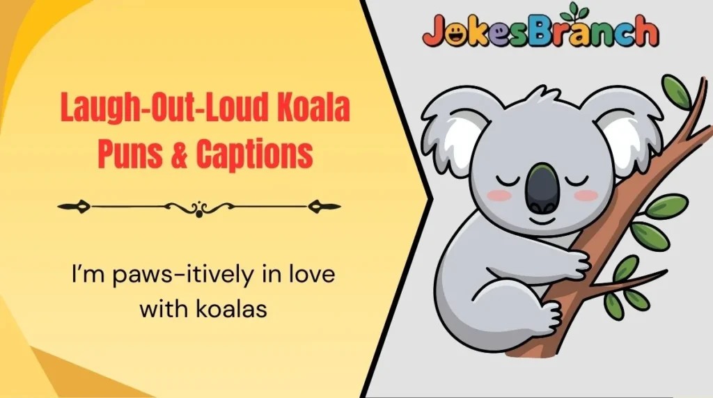 Laugh-Out-Loud Koala Puns & Captions