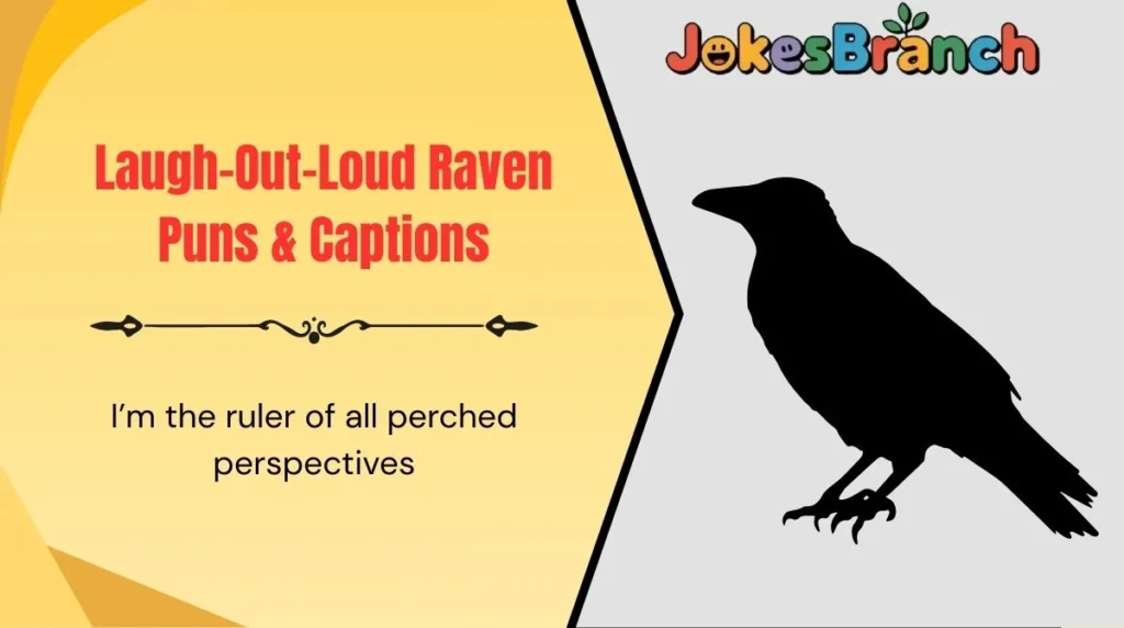 Laugh-Out-Loud Raven Puns & Captions