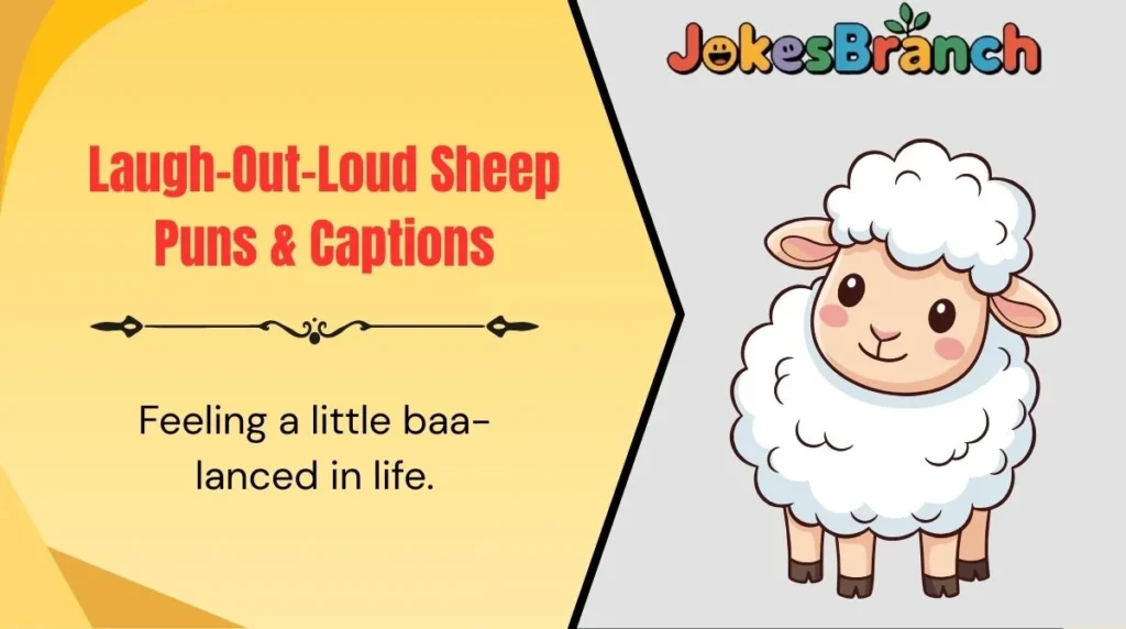 Laugh-Out-Loud Sheep Puns & Captions