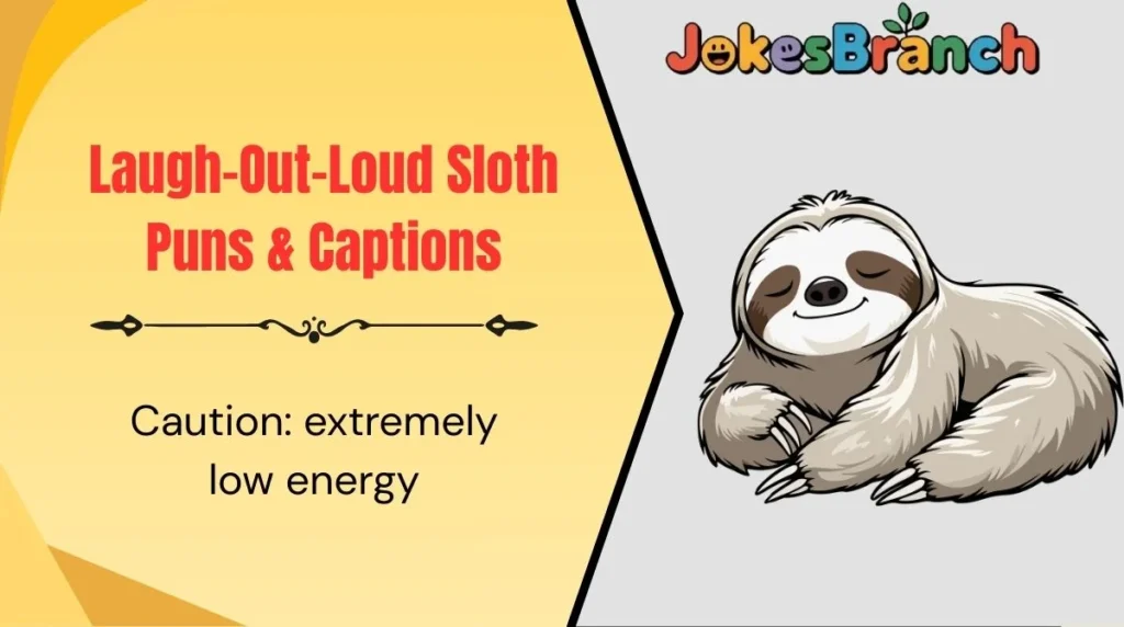 Laugh-Out-Loud Sloth Puns & Captions