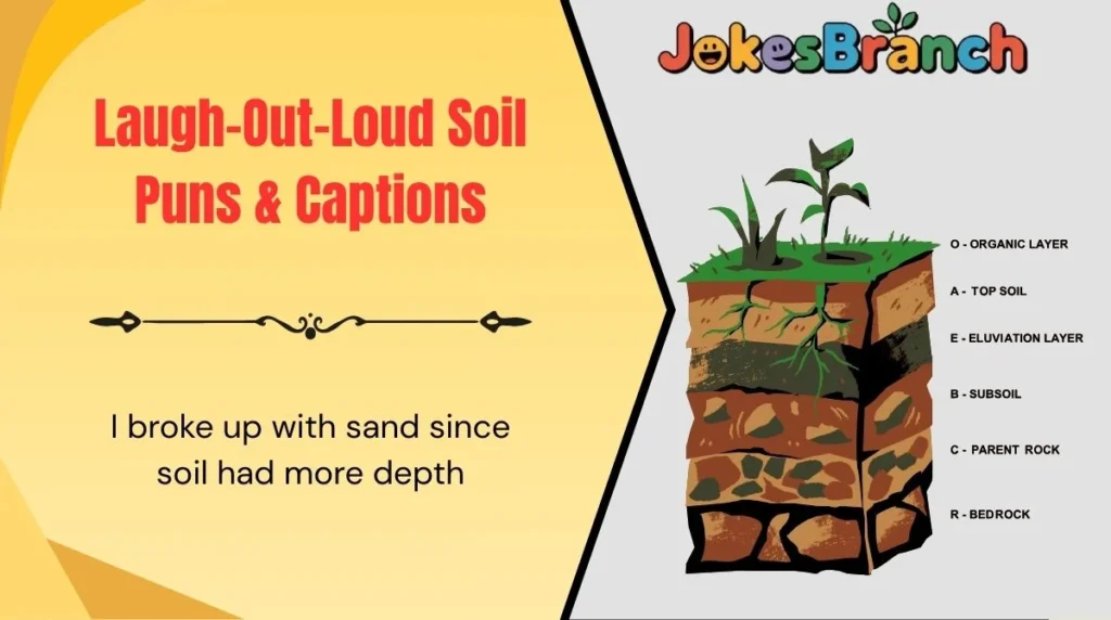 Laugh-Out-Loud Soil Puns & Captions