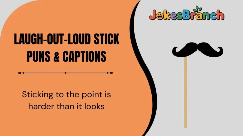 Laugh-Out-Loud Stick Puns & Captions