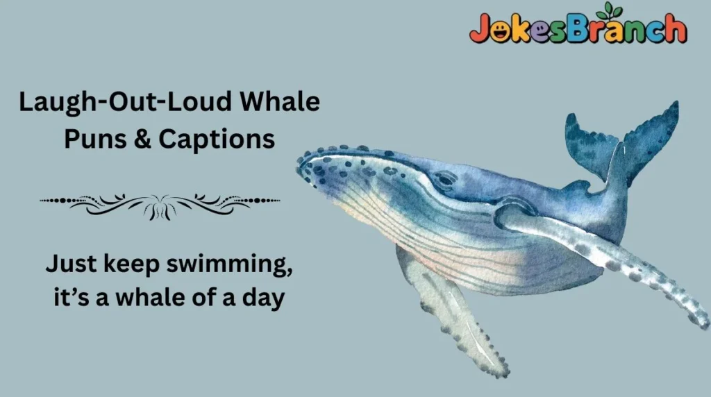 Laugh-Out-Loud Whale Puns & Captions