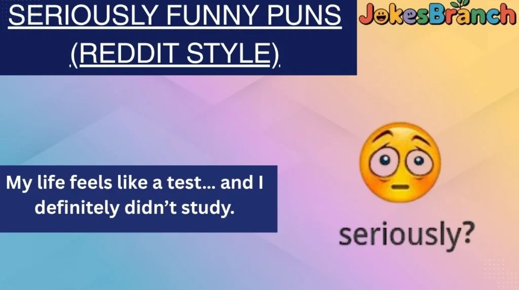 Seriously Funny Puns (Reddit Style)
