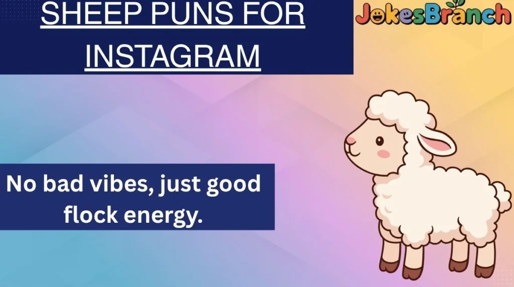 Sheep Puns for Instagram