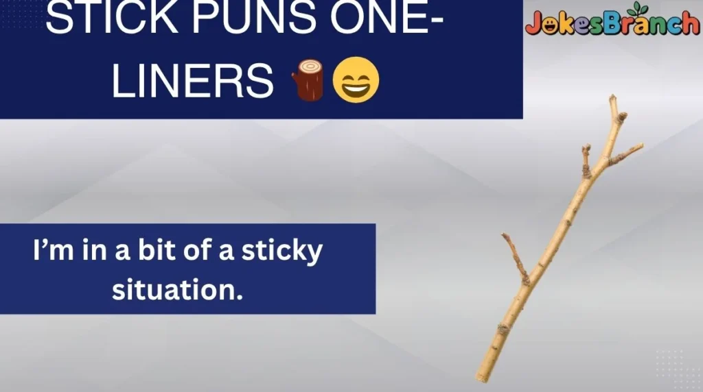 Stick Puns One-Liners 🪵😄