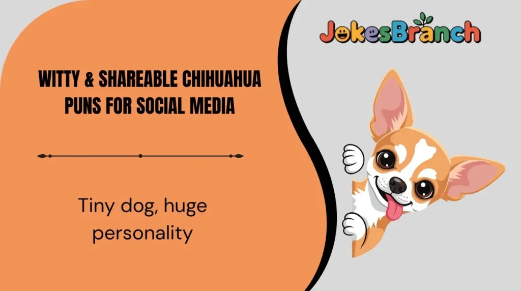 Witty & Shareable Chihuahua Puns for Social Media