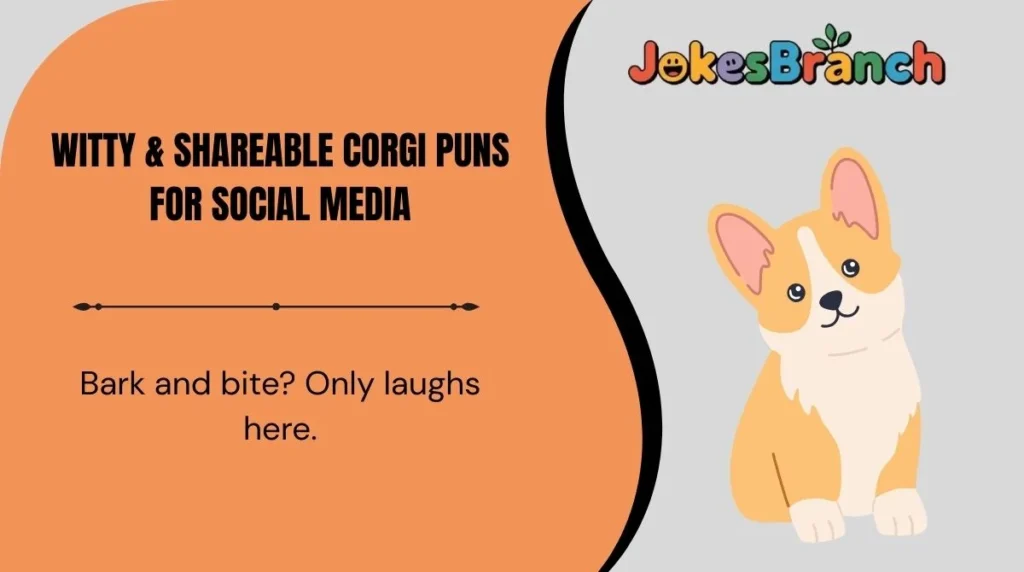Witty & Shareable Corgi Puns for Social Media