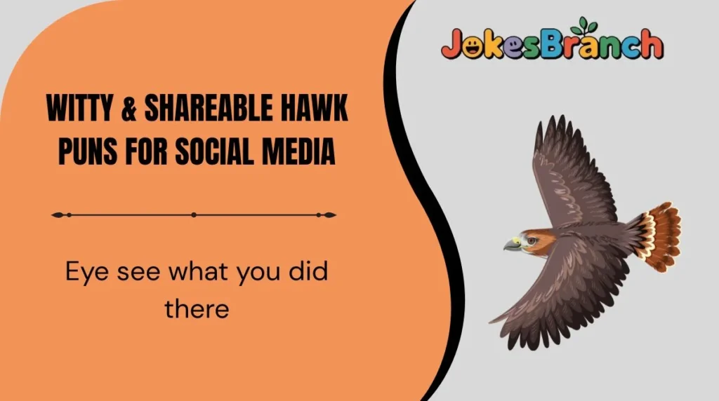 Witty & Shareable Hawk Puns for Social Media