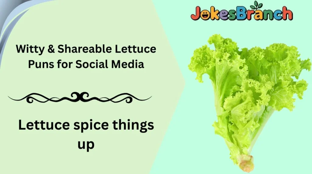 Witty & Shareable Lettuce Puns for Social Media