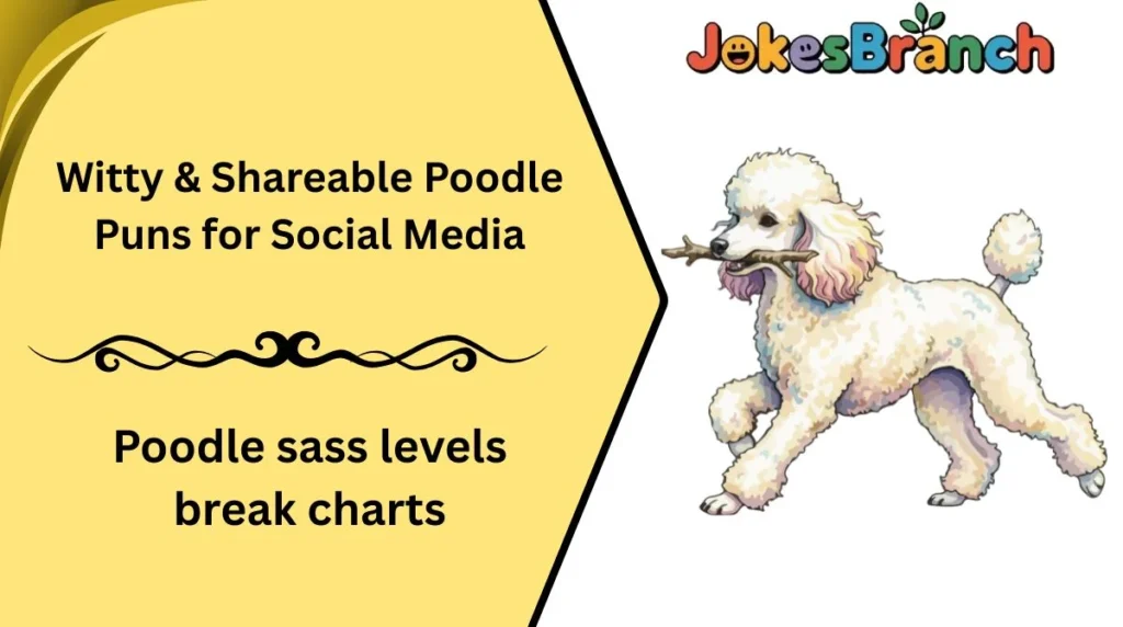 Witty & Shareable Poodle Puns for Social Media