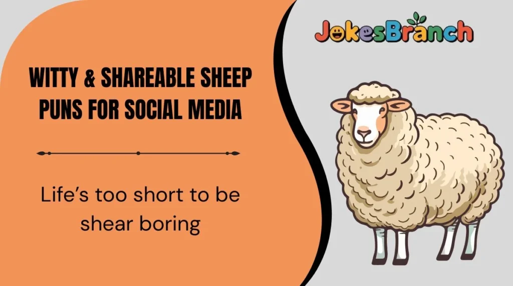 Witty & Shareable Sheep Puns for Social Media