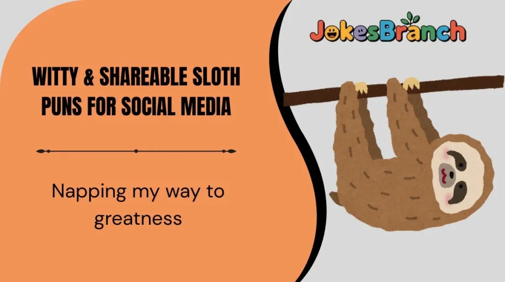 Witty & Shareable Sloth Puns for Social Media
