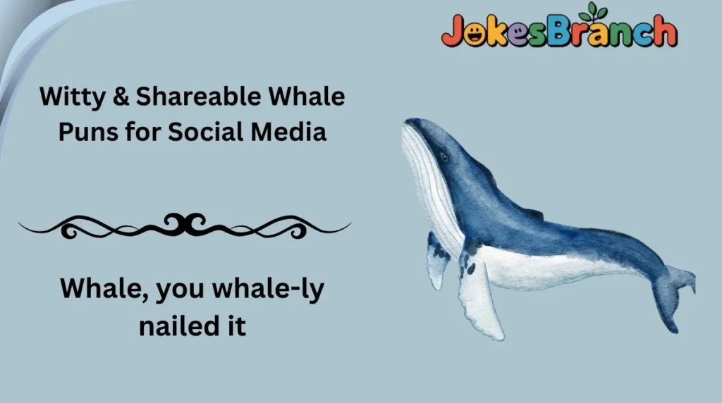 Witty & Shareable Whale Puns for Social Media
