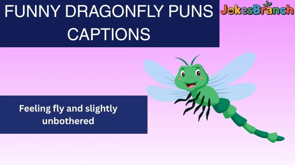 Funny Dragonfly Puns Captions