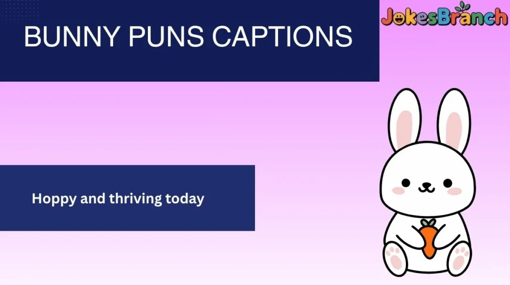 Bunny Puns Captions