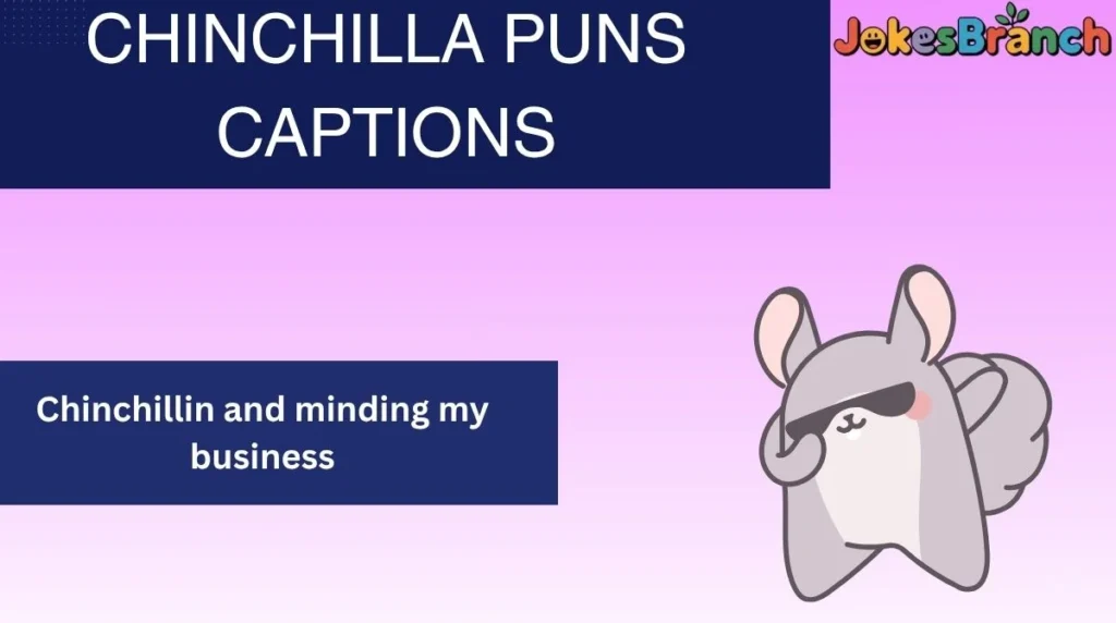 Chinchilla Puns Captions