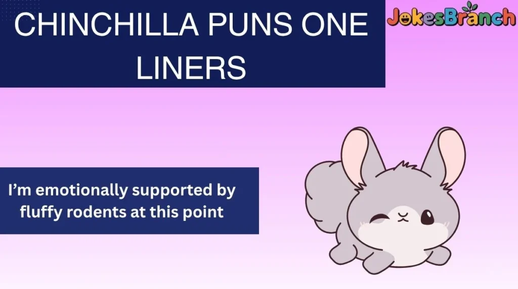Chinchilla Puns One Liners
