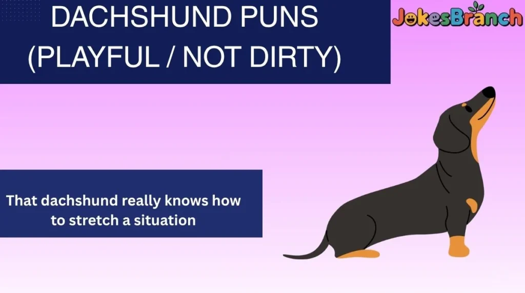 Dachshund Puns (Playful / Not Dirty)