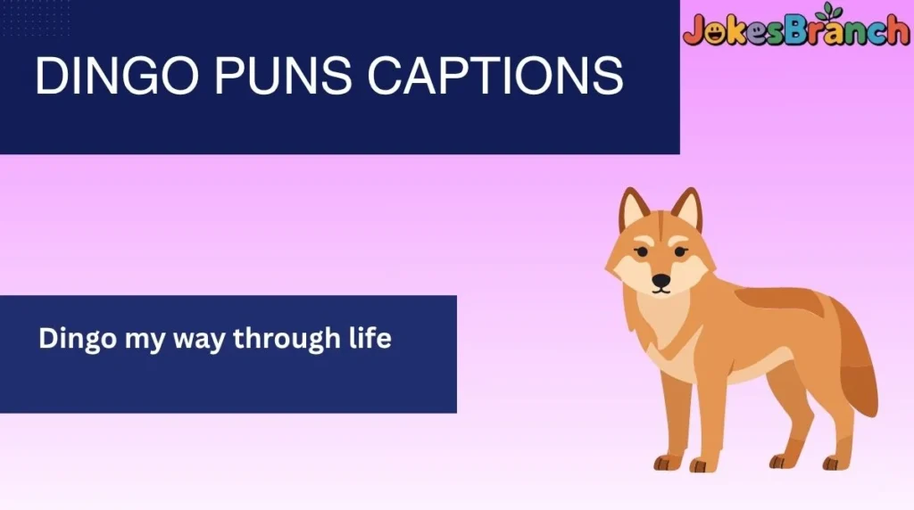 Dingo Puns Captions