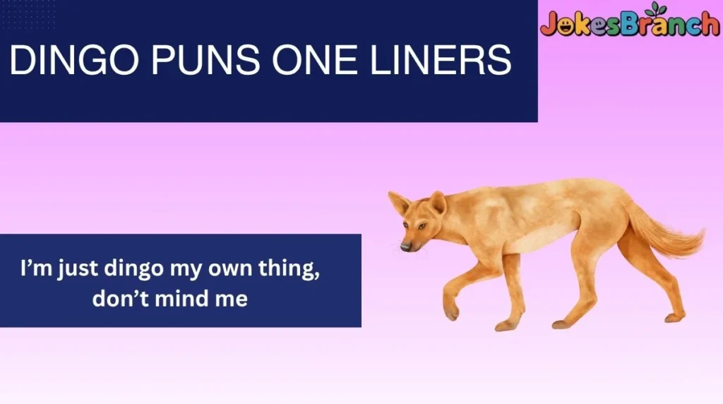 Dingo Puns One Liners