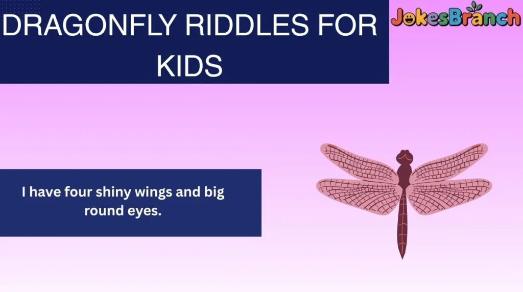 Dragonfly Riddles for Kids