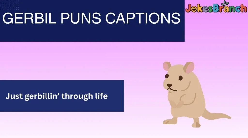 Gerbil Puns Captions